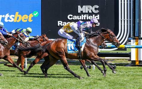 blue diamond stakes field|Blue Diamond Stakes 2025 .